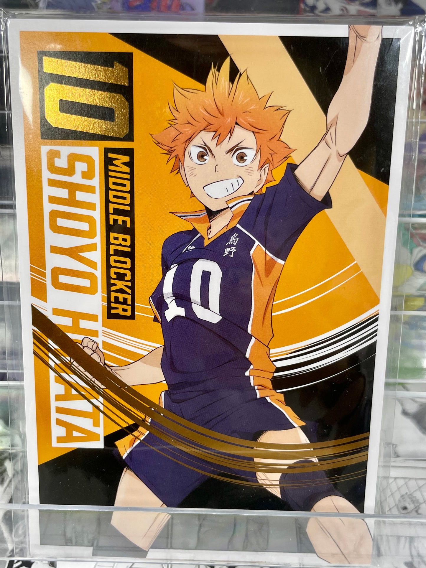 Haikyuu - 2022 Volleyball Club Postcard Set