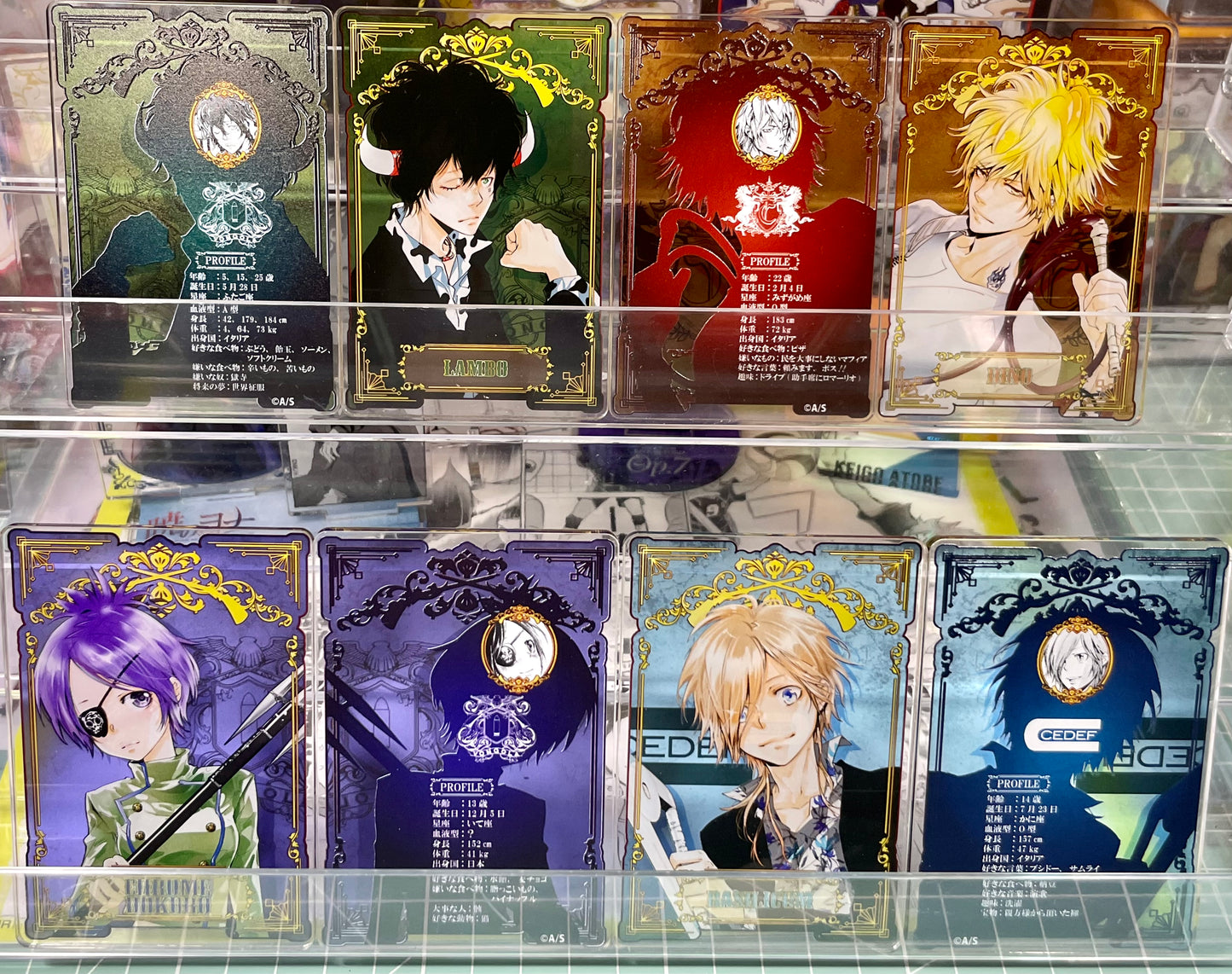 Katekyo Hitman Reborn - Acrylic Status/Data Card